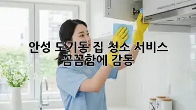 안성 도기동 집 청소 서비스 ✨ 꼼꼼함에 감동!
