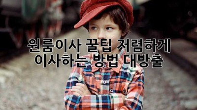 원룸이사 꿀팁🍯: 저렴하게 이사하는 방법 대방출!