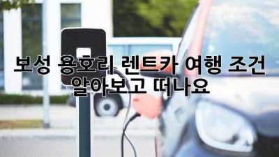 보성 용호리 렌트카 여행🚗 조건 알아보고 떠나요!